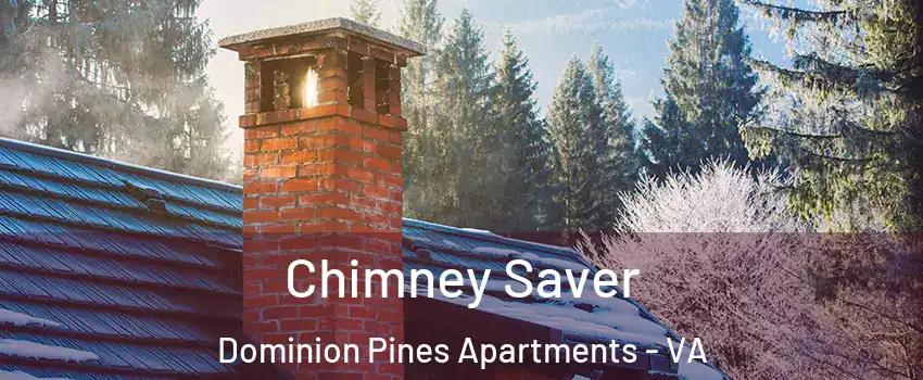 Chimney Saver Dominion Pines Apartments - VA