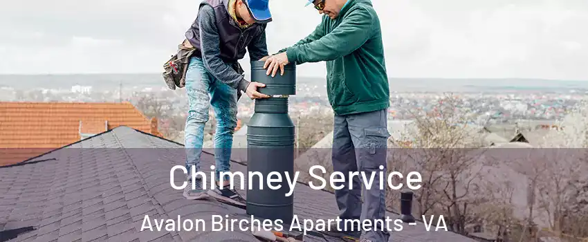 Chimney Service Avalon Birches Apartments - VA