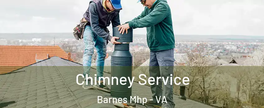 Chimney Service Barnes Mhp - VA