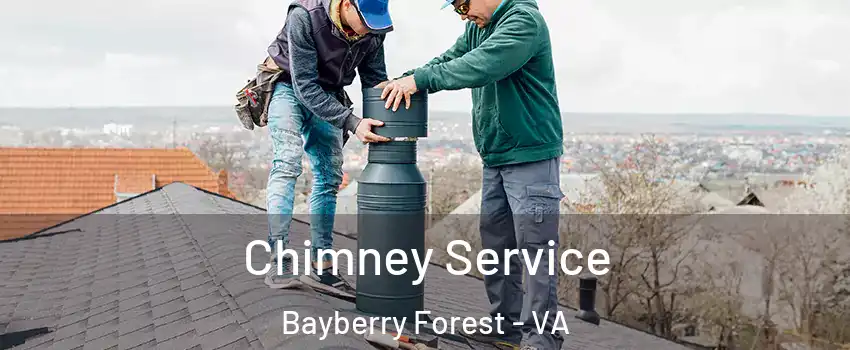 Chimney Service Bayberry Forest - VA