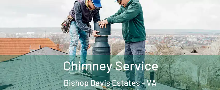 Chimney Service Bishop Davis Estates - VA