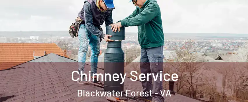 Chimney Service Blackwater Forest - VA