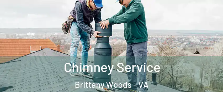 Chimney Service Brittany Woods - VA