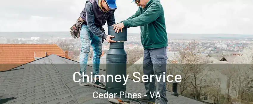 Chimney Service Cedar Pines - VA