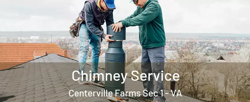 Chimney Service Centerville Farms Sec 1 - VA