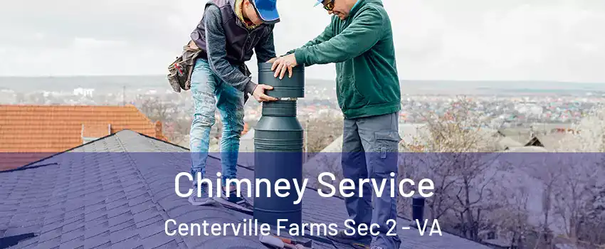 Chimney Service Centerville Farms Sec 2 - VA