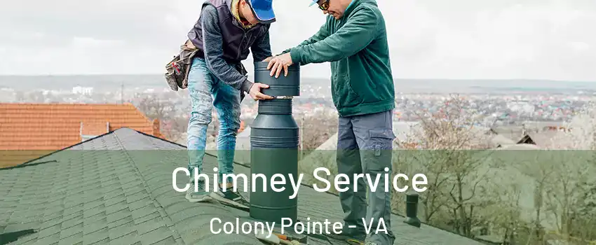 Chimney Service Colony Pointe - VA