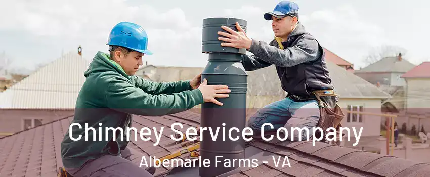Chimney Service Company Albemarle Farms - VA