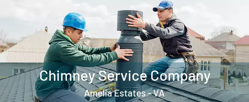Chimney Service Company Amelia Estates - VA