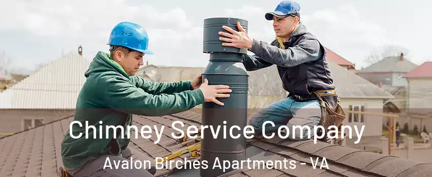 Chimney Service Company Avalon Birches Apartments - VA
