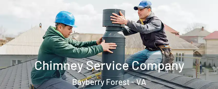 Chimney Service Company Bayberry Forest - VA
