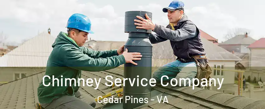 Chimney Service Company Cedar Pines - VA