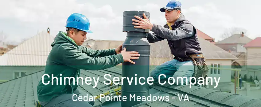 Chimney Service Company Cedar Pointe Meadows - VA