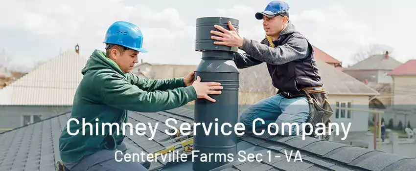 Chimney Service Company Centerville Farms Sec 1 - VA