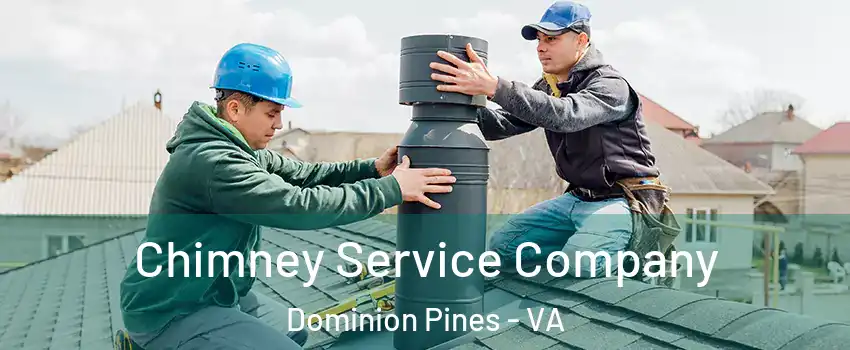 Chimney Service Company Dominion Pines - VA