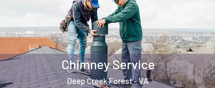 Chimney Service Deep Creek Forest - VA