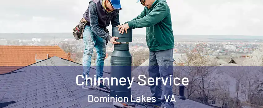 Chimney Service Dominion Lakes - VA