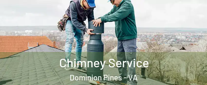 Chimney Service Dominion Pines - VA