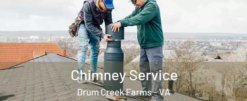 Chimney Service Drum Creek Farms - VA