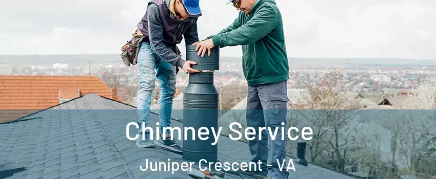 Chimney Service Juniper Crescent - VA