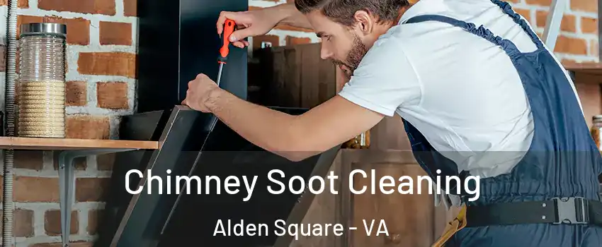Chimney Soot Cleaning Alden Square - VA