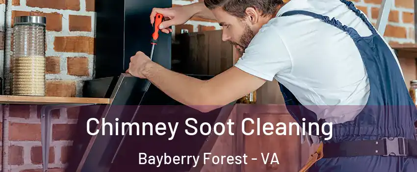 Chimney Soot Cleaning Bayberry Forest - VA