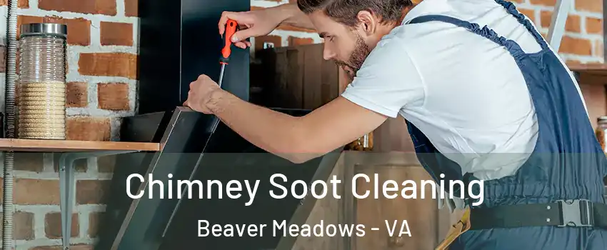 Chimney Soot Cleaning Beaver Meadows - VA
