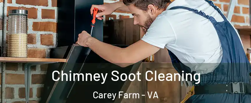 Chimney Soot Cleaning Carey Farm - VA