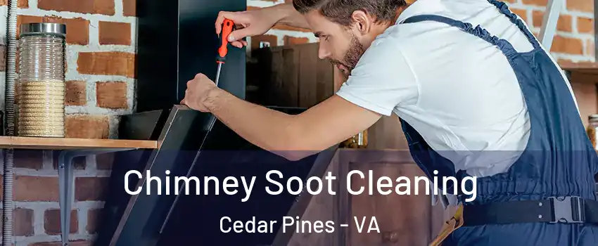 Chimney Soot Cleaning Cedar Pines - VA