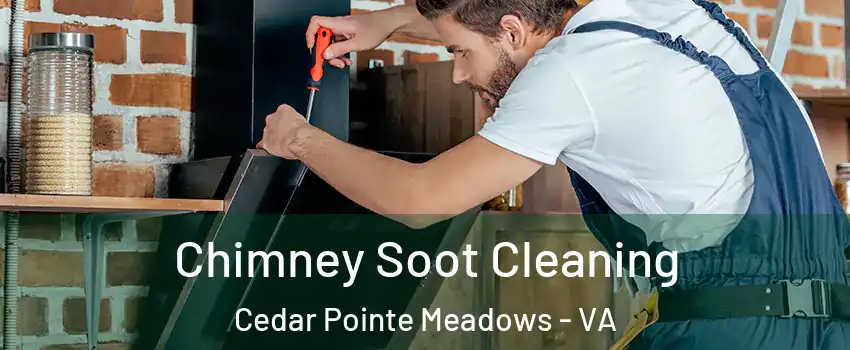 Chimney Soot Cleaning Cedar Pointe Meadows - VA