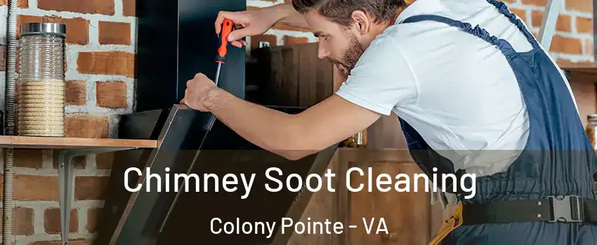 Chimney Soot Cleaning Colony Pointe - VA