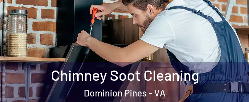 Chimney Soot Cleaning Dominion Pines - VA