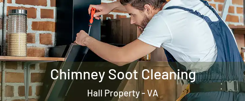Chimney Soot Cleaning Hall Property - VA