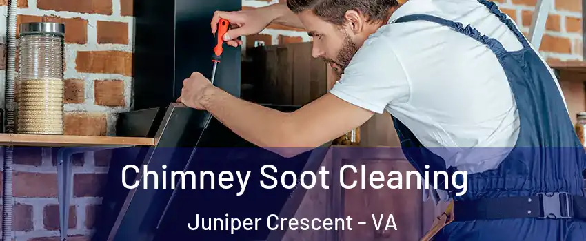 Chimney Soot Cleaning Juniper Crescent - VA