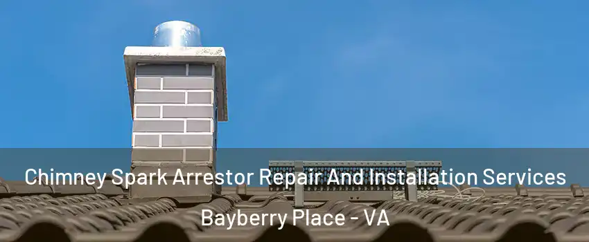 Chimney Spark Arrestor Repair And Installation Services Bayberry Place - VA