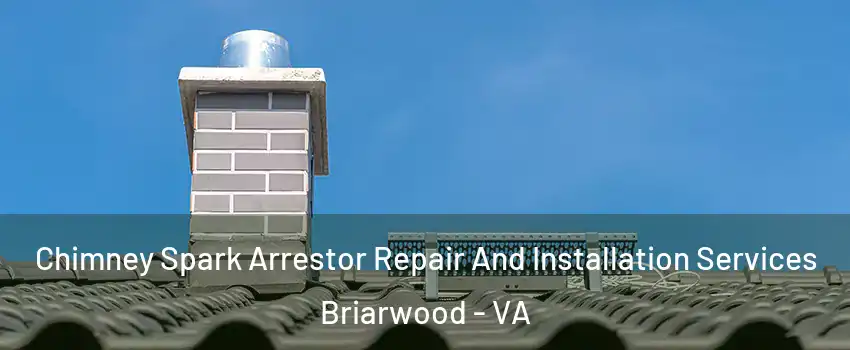 Chimney Spark Arrestor Repair And Installation Services Briarwood - VA
