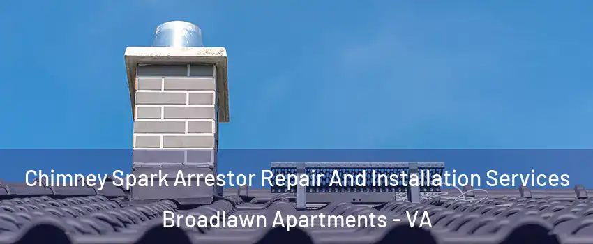 Chimney Spark Arrestor Repair And Installation Services Broadlawn Apartments - VA