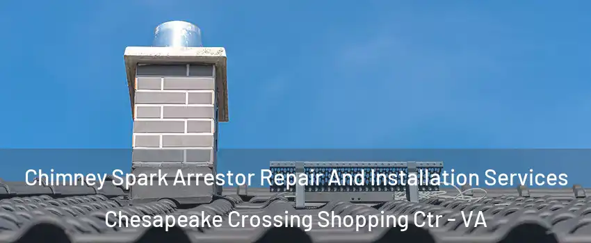 Chimney Spark Arrestor Repair And Installation Services Chesapeake Crossing Shopping Ctr - VA