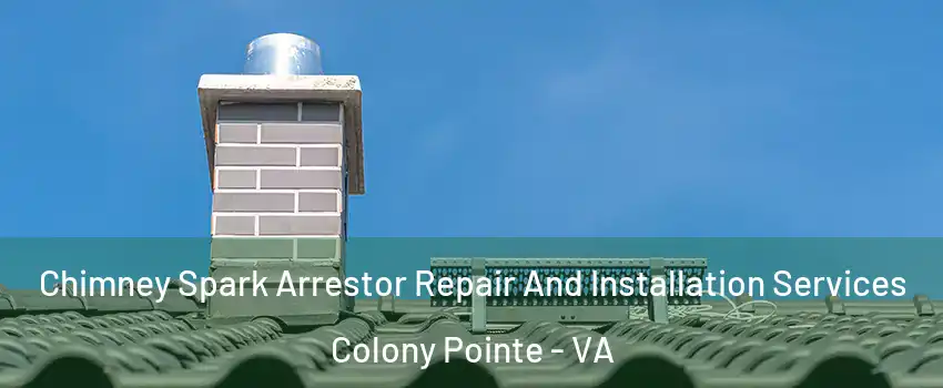 Chimney Spark Arrestor Repair And Installation Services Colony Pointe - VA