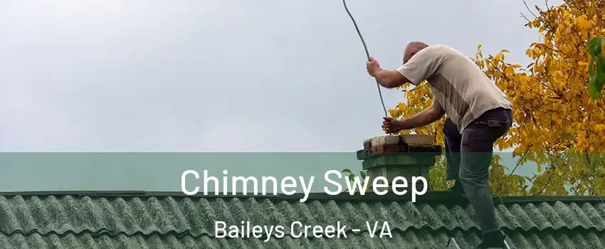 Chimney Sweep Baileys Creek - VA