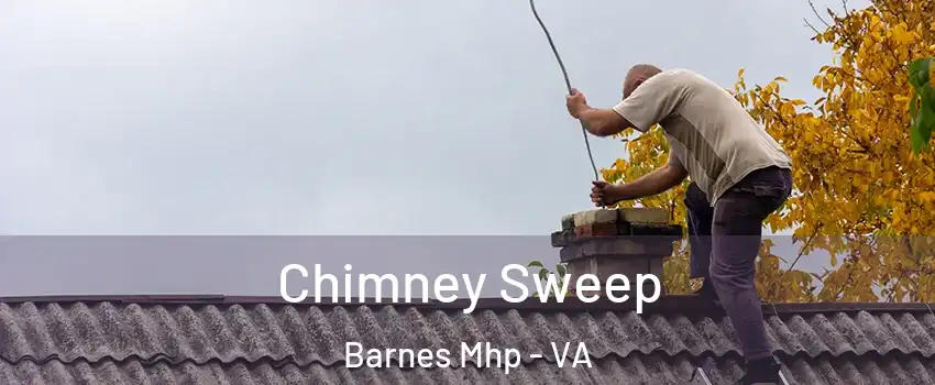 Chimney Sweep Barnes Mhp - VA