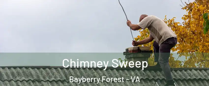 Chimney Sweep Bayberry Forest - VA