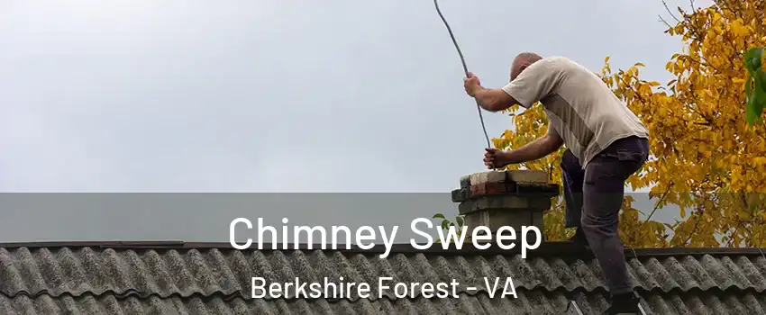 Chimney Sweep Berkshire Forest - VA