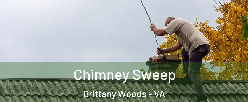 Chimney Sweep Brittany Woods - VA