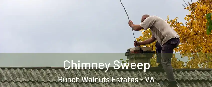 Chimney Sweep Bunch Walnuts Estates - VA