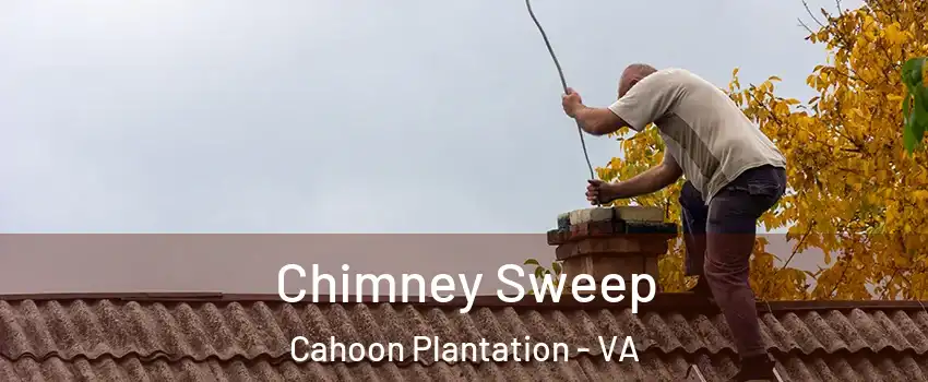 Chimney Sweep Cahoon Plantation - VA