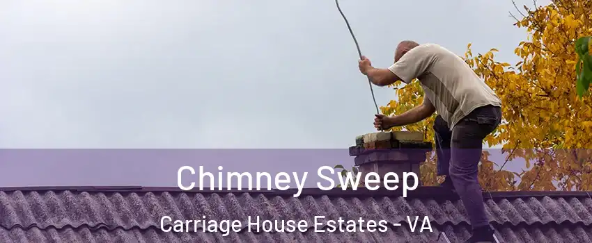 Chimney Sweep Carriage House Estates - VA