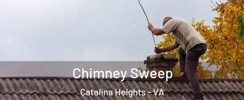 Chimney Sweep Catalina Heights - VA