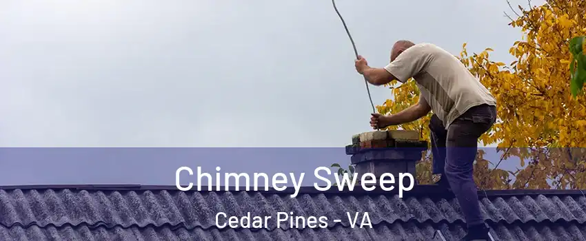Chimney Sweep Cedar Pines - VA