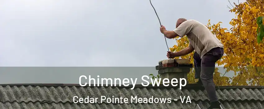 Chimney Sweep Cedar Pointe Meadows - VA